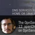 Set up openDNS Service on OpnSense